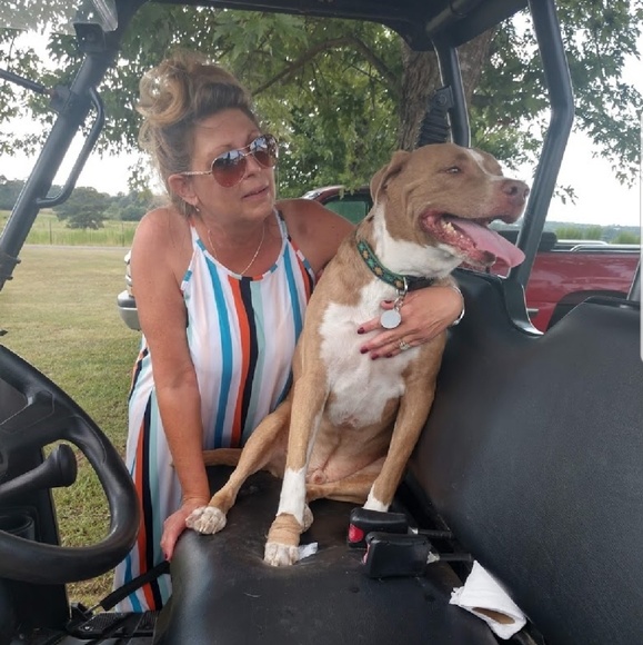 Not selling yet, but I am a buying fool! - Picture 4 of 4